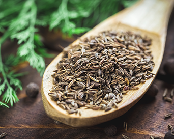 Un festin pour les sens